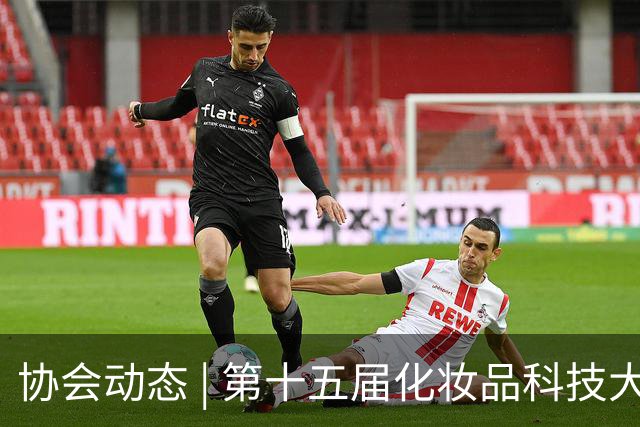 协会动态 | 第十五届化妆品科技大讲堂 暨化妆品原料合规与创新应用推广专题讲堂在京举办