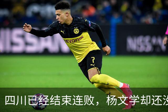 四川已经结束连败，杨文学却还没有，邱彪2战仅给他12分钟遭质疑