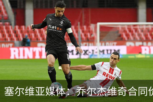 塞尔维亚媒体：乔尔杰维奇合同价值100万美元