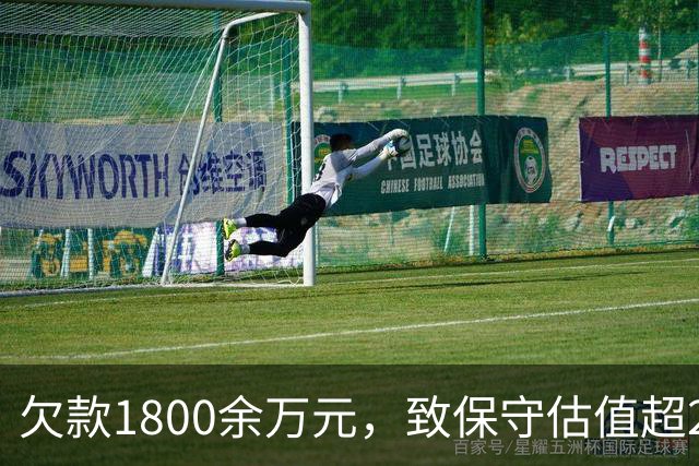 欠款1800余万元，致保守估值超2.5亿元的295套房产被查封3年