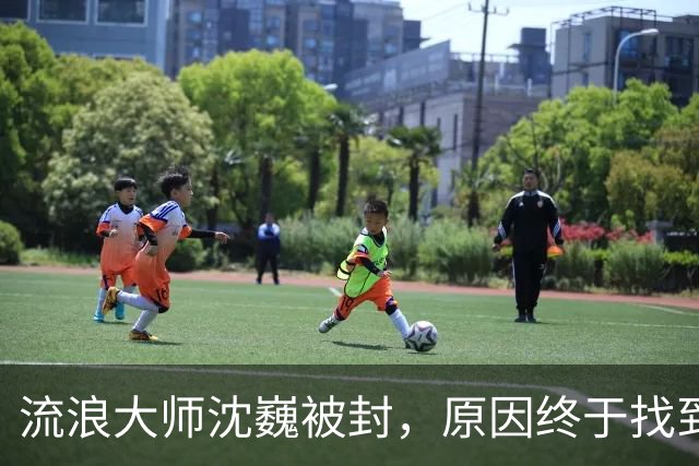 流浪大师沈巍被封，原因终于找到了