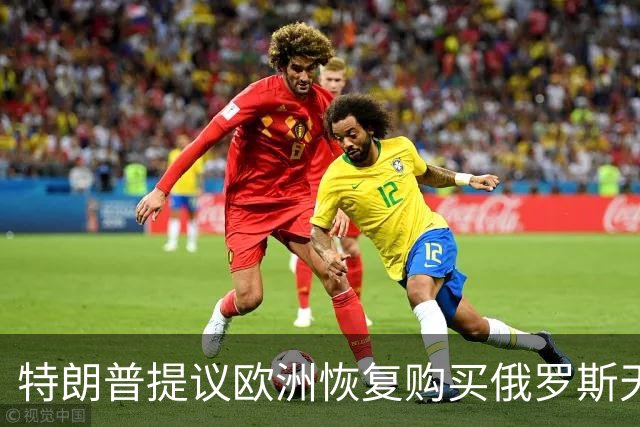 特朗普提议欧洲恢复购买俄罗斯天然气，作为和平协议的一部分