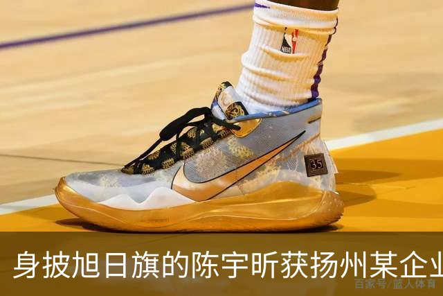 身披旭日旗的陈宇昕获扬州某企业支持，汤家凤发文怒批：必须严惩，露头就打