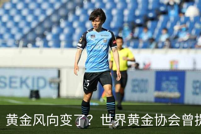 黄金风向变了？世界黄金协会曾提醒：今年下半年，或将迎来关键期