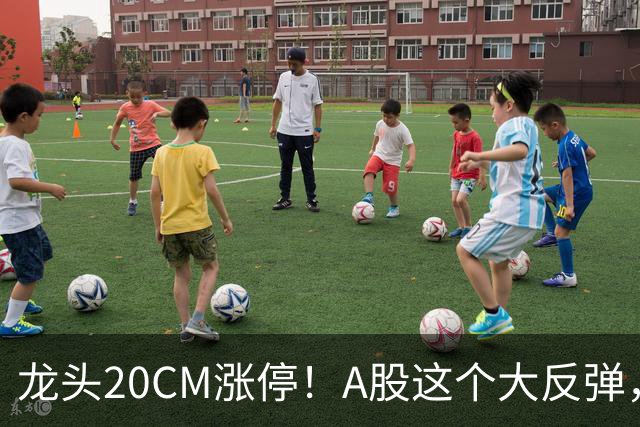 龙头20CM涨停！A股这个大反弹，太提气了！