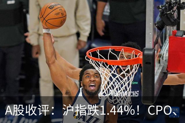 A股收评：沪指跌1.44%！CPO、传媒股集体跳水，白酒逆势飘红